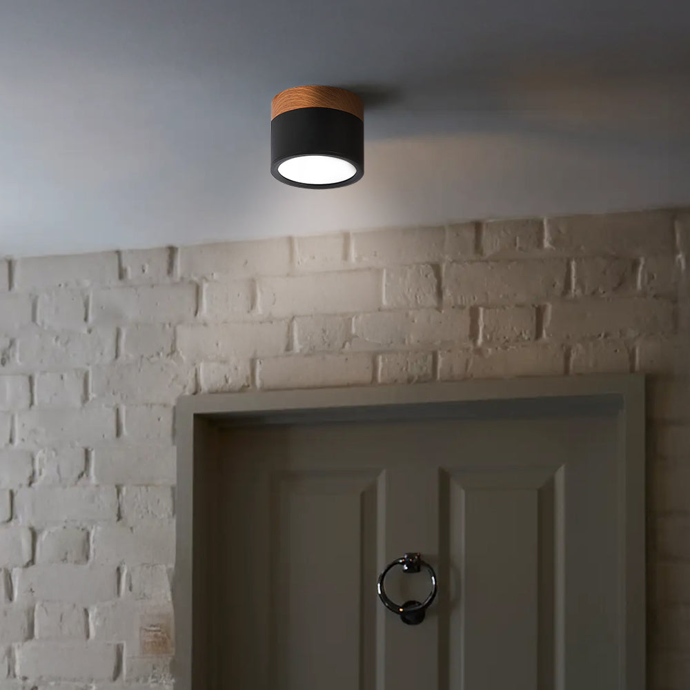 Cylinder Surface Mount Ceiling Light with LED