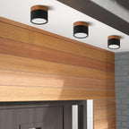 Cylinder Surface Mount Ceiling Light with LED