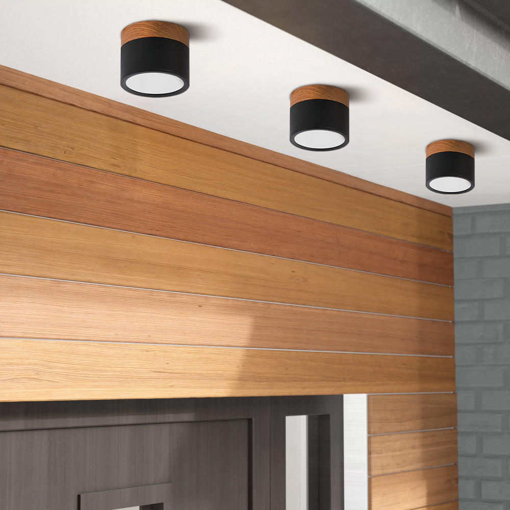 Cylinder Surface Mount Ceiling Light with LED