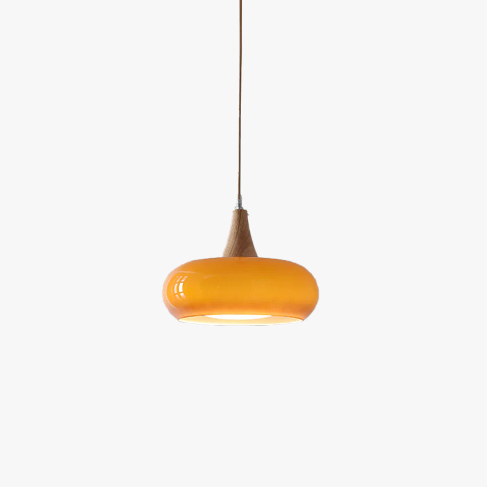 Wood and Metal Dome Pendant Light with Smooth Gloss Shade