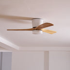 Modern Wooden Ceiling Fan with Remote Control and LED Light