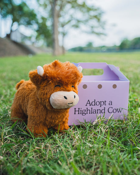Highland Cow Plush Toy Soft Stuffed Animal Realistic Scottish Cow Cuddly Toy for Kids Gift and Sofa Decor