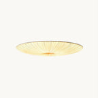 Modern Acrylic Flush Mount Ceiling Light With Warm LED Glow — Harbor Light Co.
