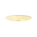 Modern Acrylic Flush Mount Ceiling Light With Warm LED Glow — Harbor Light Co.