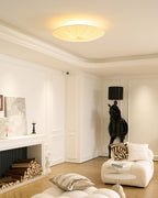 Modern Acrylic Flush Mount Ceiling Light With Warm LED Glow — Harbor Light Co.