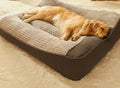 Orthopedic Dog Bed for Large Dogs Scratch-Resistant Dog Bed with Bolster Removable Washable Cover Soft Velvet Pet Bed for Big Breeds