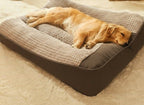 Orthopedic Dog Bed for Large Dogs Scratch-Resistant Dog Bed with Bolster Removable Washable Cover Soft Velvet Pet Bed for Big Breeds