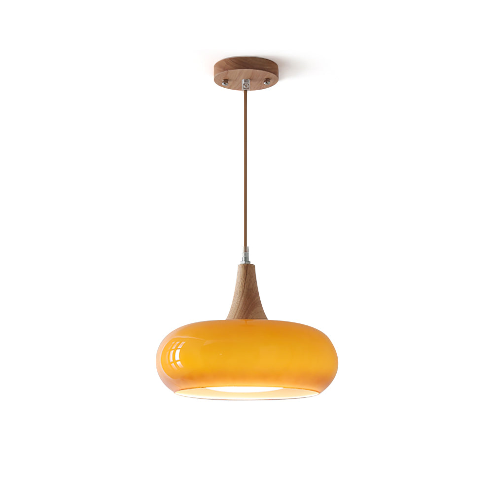 Wood and Metal Dome Pendant Light with Smooth Gloss Shade