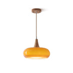 Wood and Metal Dome Pendant Light with Smooth Gloss Shade