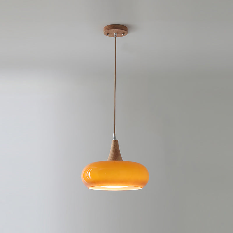 Wood and Metal Dome Pendant Light with Smooth Gloss Shade
