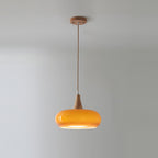 Wood and Metal Dome Pendant Light with Smooth Gloss Shade