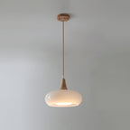 Wood and Metal Dome Pendant Light with Smooth Gloss Shade