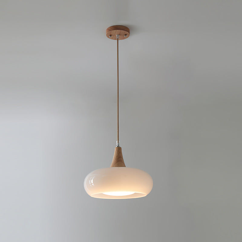 Wood and Metal Dome Pendant Light with Smooth Gloss Shade
