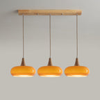 Wood and Metal Dome Pendant Light with Smooth Gloss Shade