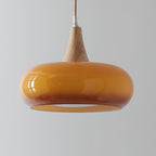 Wood and Metal Dome Pendant Light with Smooth Gloss Shade