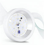 Modern Iron Flush Mount Ceiling Light — Harbor Light Co.