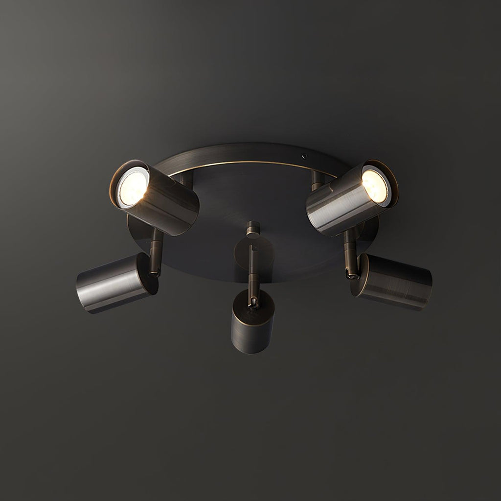 Adjustable 3/5-Light Spotlight Ceiling Light with Round Canopy