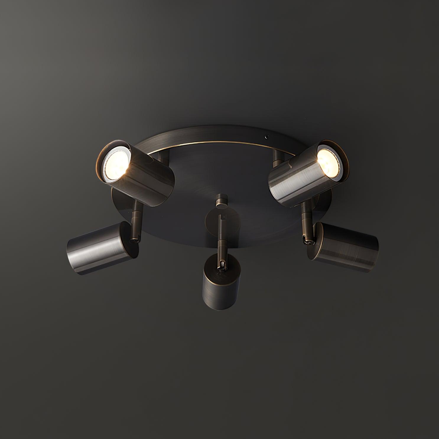 Adjustable 3/5-Light Spotlight Ceiling Light with Round Canopy