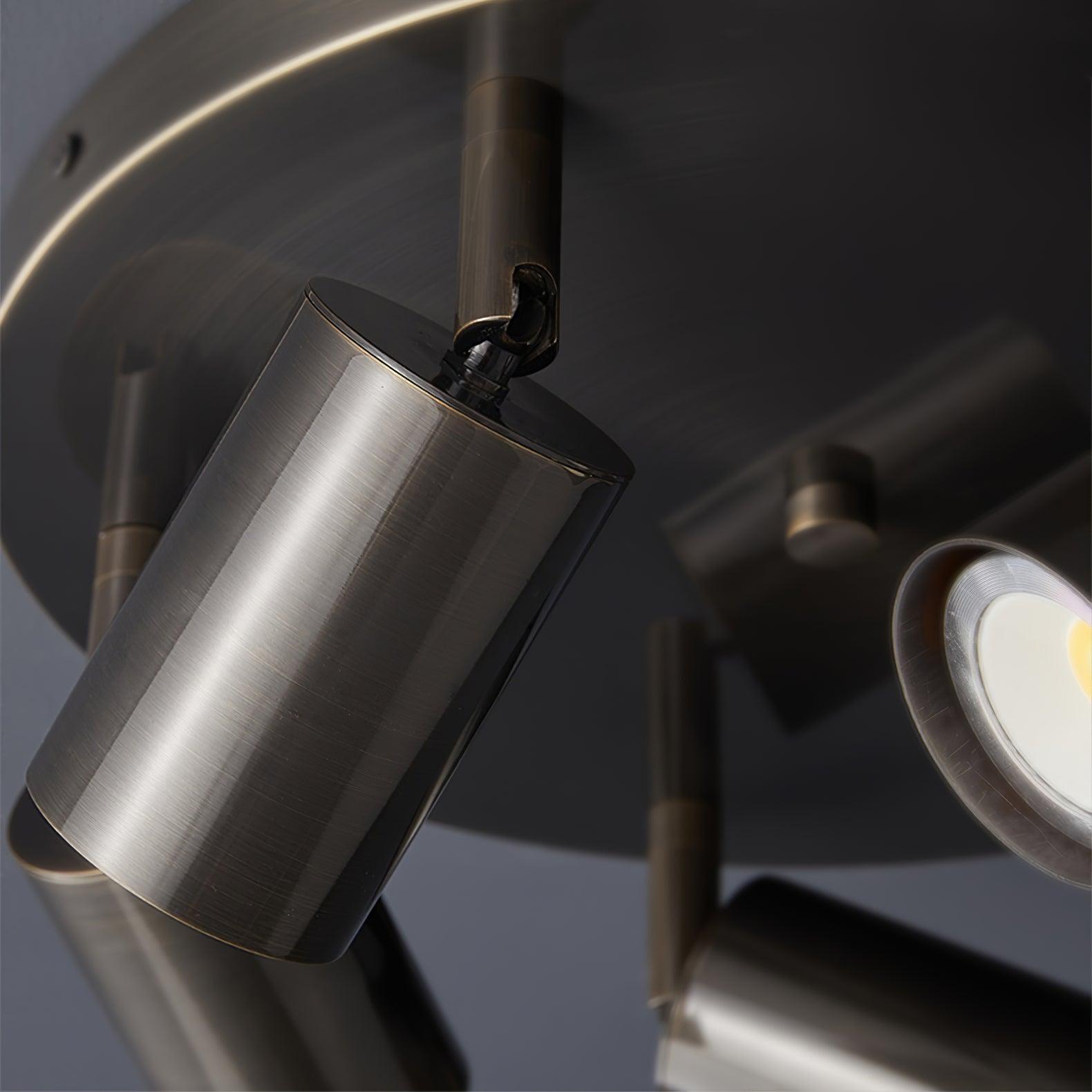Adjustable 3/5-Light Spotlight Ceiling Light with Round Canopy