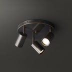 Adjustable 3/5-Light Spotlight Ceiling Light with Round Canopy