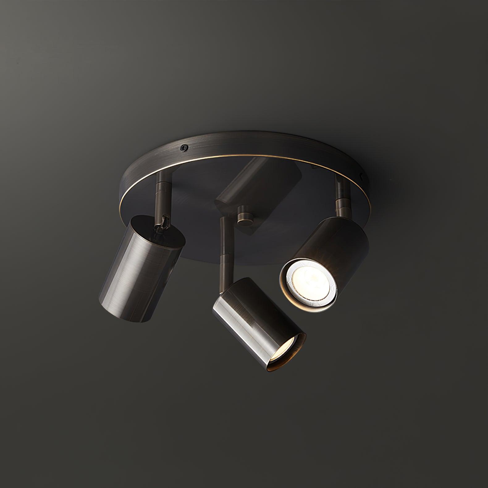 Adjustable 3/5-Light Spotlight Ceiling Light with Round Canopy