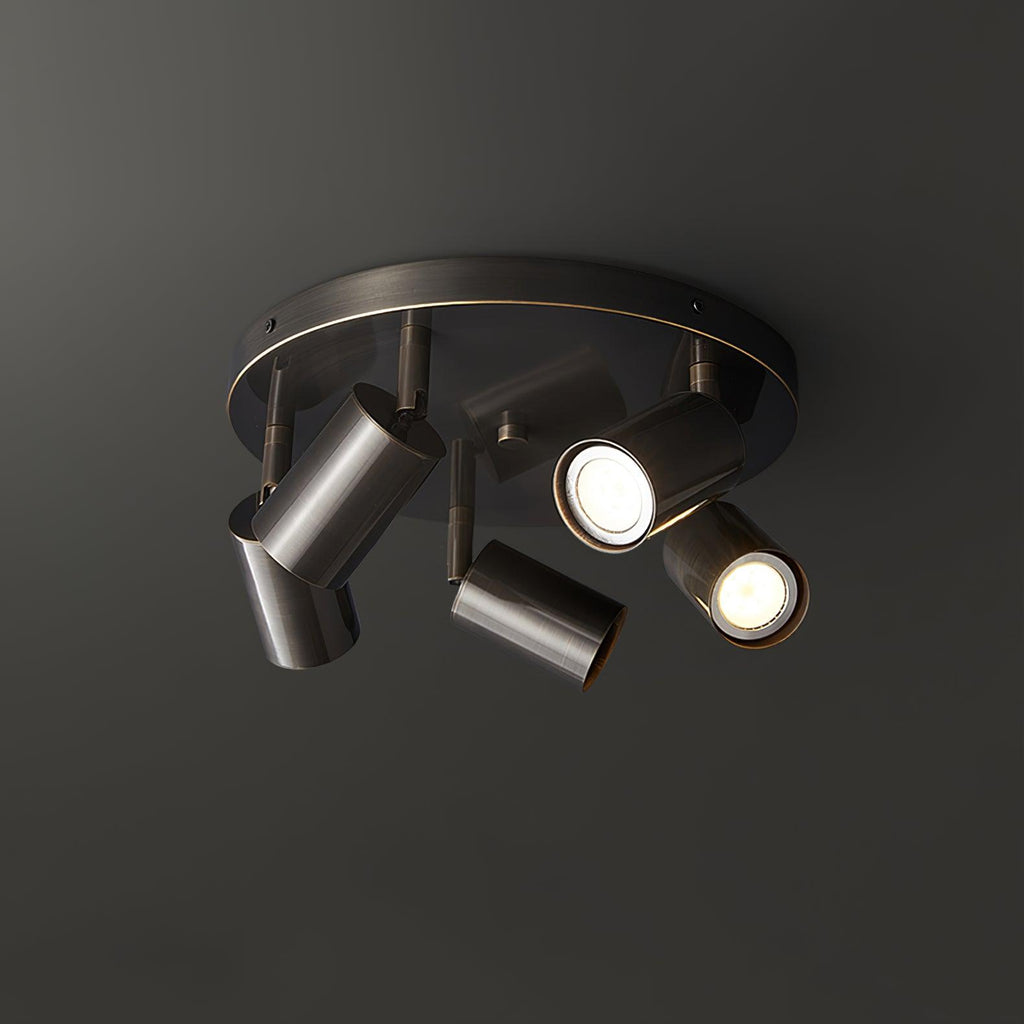 Adjustable 3/5-Light Spotlight Ceiling Light with Round Canopy