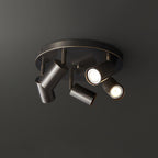 Adjustable 3/5-Light Spotlight Ceiling Light with Round Canopy