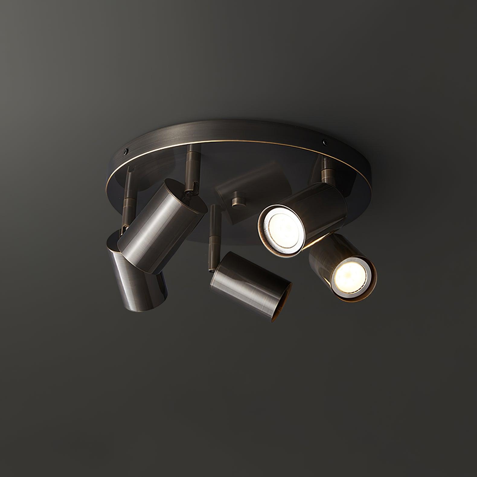 Adjustable 3/5-Light Spotlight Ceiling Light with Round Canopy
