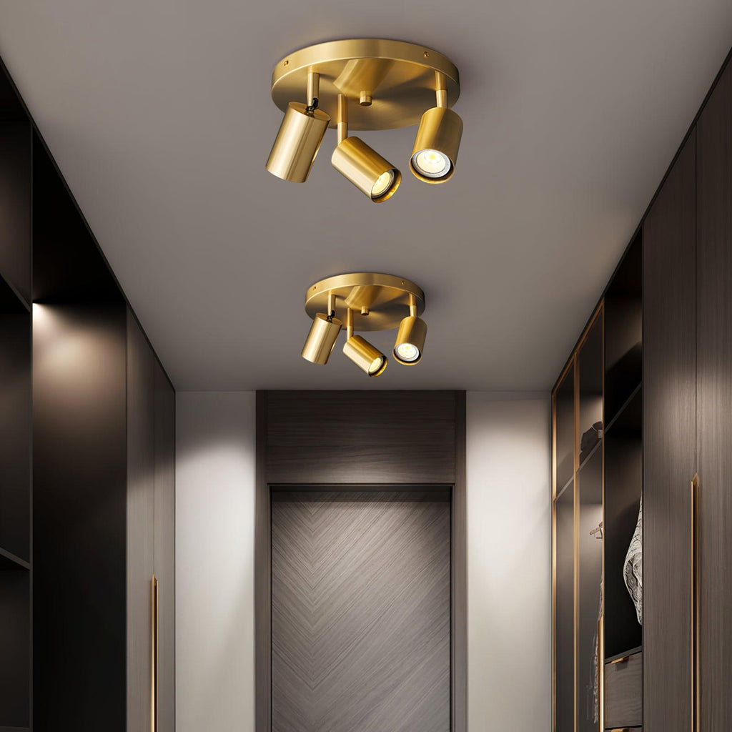 Adjustable 3/5-Light Spotlight Ceiling Light with Round Canopy