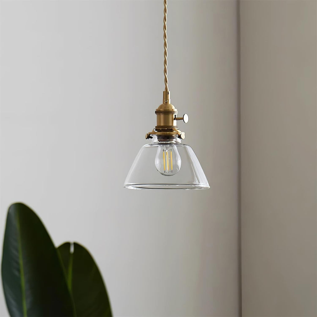 Clear Glass Globe Pendant Light with Brass Socket and Twisted Cord