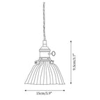 Clear Glass Globe Pendant Light with Brass Socket and Twisted Cord