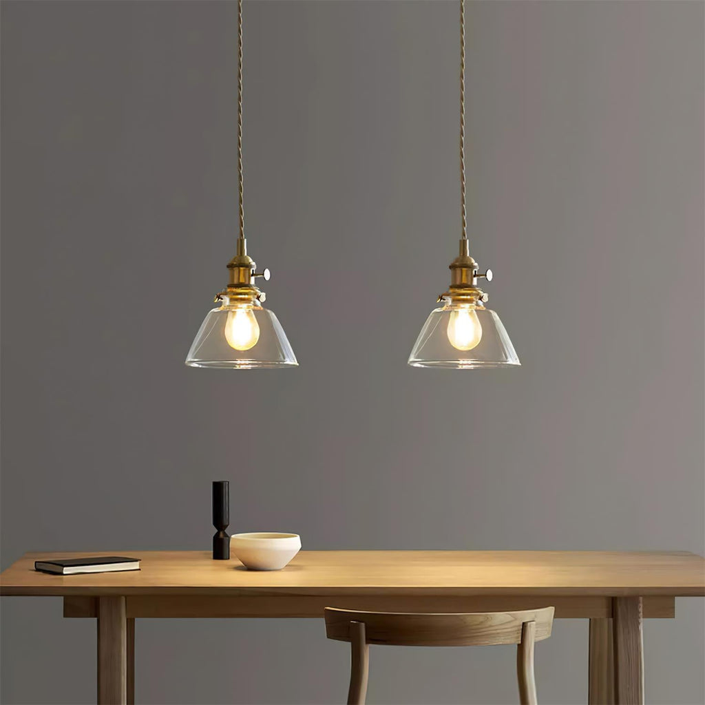 Clear Glass Globe Pendant Light with Brass Socket and Twisted Cord