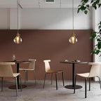 Clear Glass Globe Pendant Light with Brass Socket and Twisted Cord