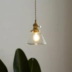 Clear Glass Globe Pendant Light with Brass Socket and Twisted Cord