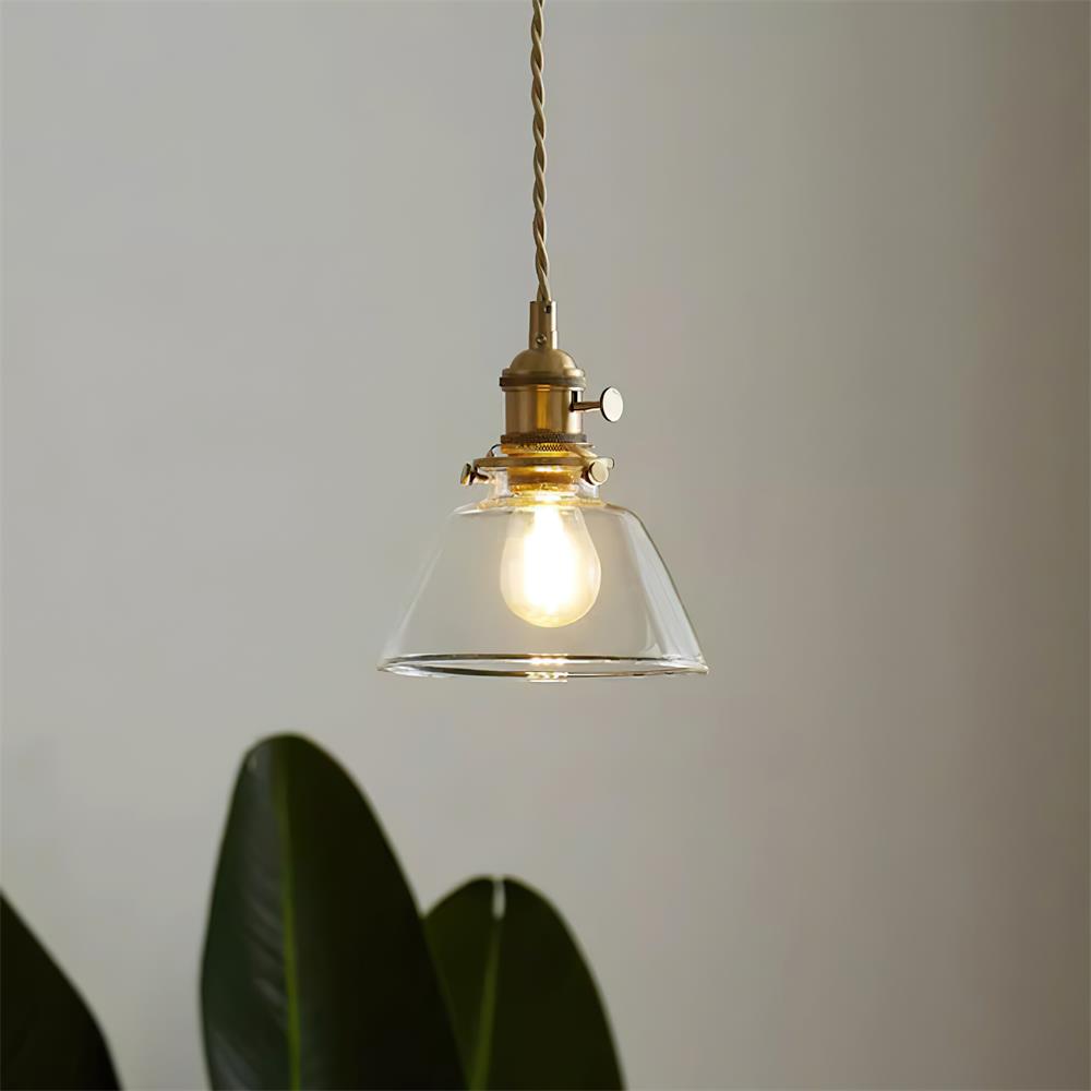 Clear Glass Globe Pendant Light with Brass Socket and Twisted Cord