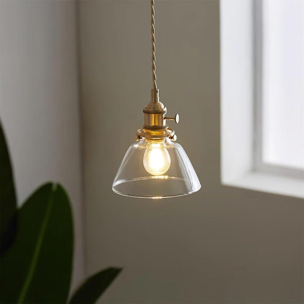 Clear Glass Globe Pendant Light with Brass Socket and Twisted Cord