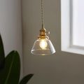 Clear Glass Globe Pendant Light with Brass Socket and Twisted Cord