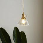Clear Glass Globe Pendant Light with Brass Socket and Twisted Cord