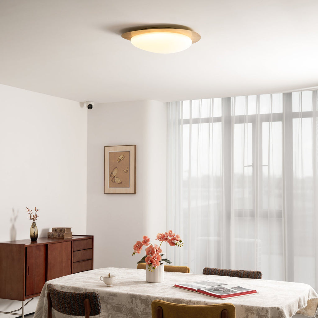 Modern Round Flush Mount Ceiling Light with Metal Rim