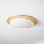 Modern Round Flush Mount Ceiling Light with Metal Rim