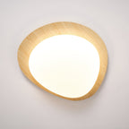 Modern Round Flush Mount Ceiling Light with Metal Rim