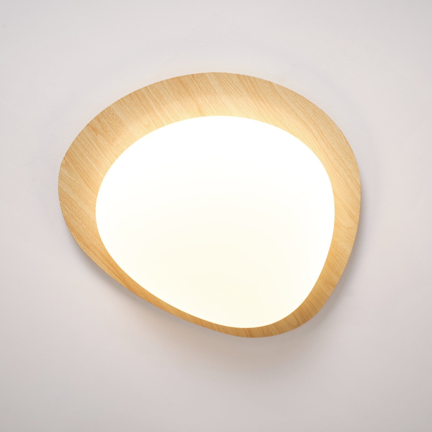 Modern Round Flush Mount Ceiling Light with Metal Rim