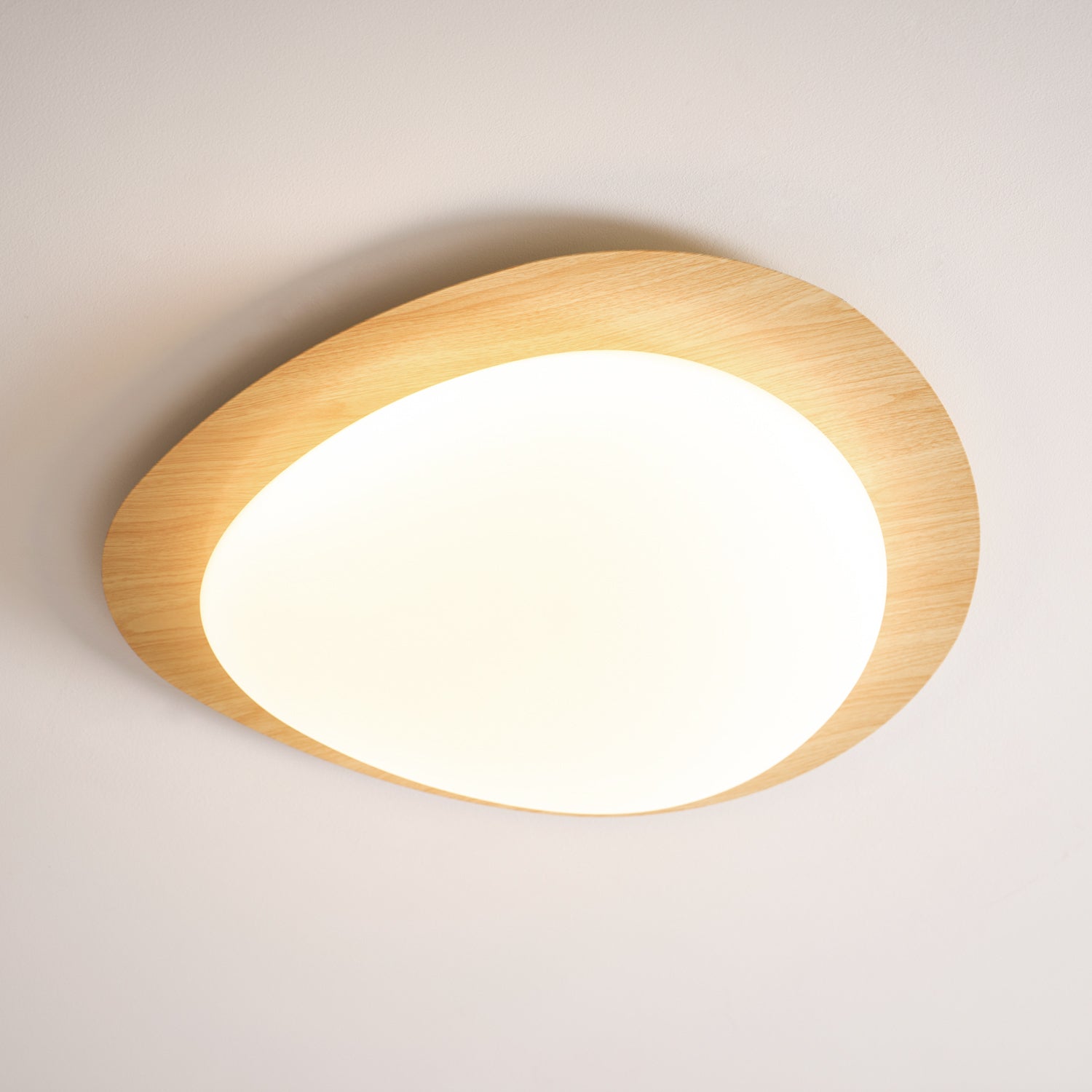Modern Round Flush Mount Ceiling Light with Metal Rim
