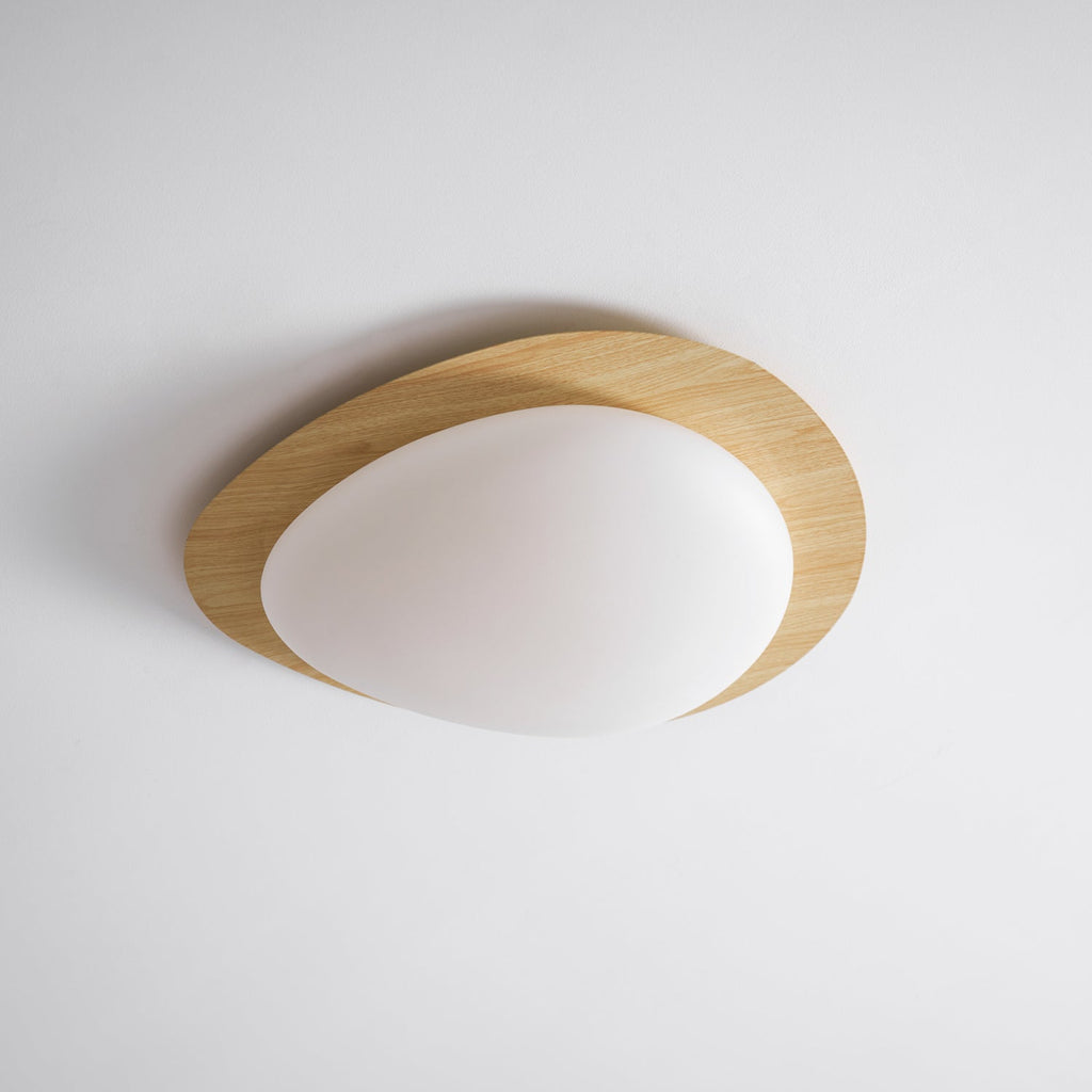 Modern Round Flush Mount Ceiling Light with Metal Rim