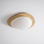 Modern Round Flush Mount Ceiling Light with Metal Rim