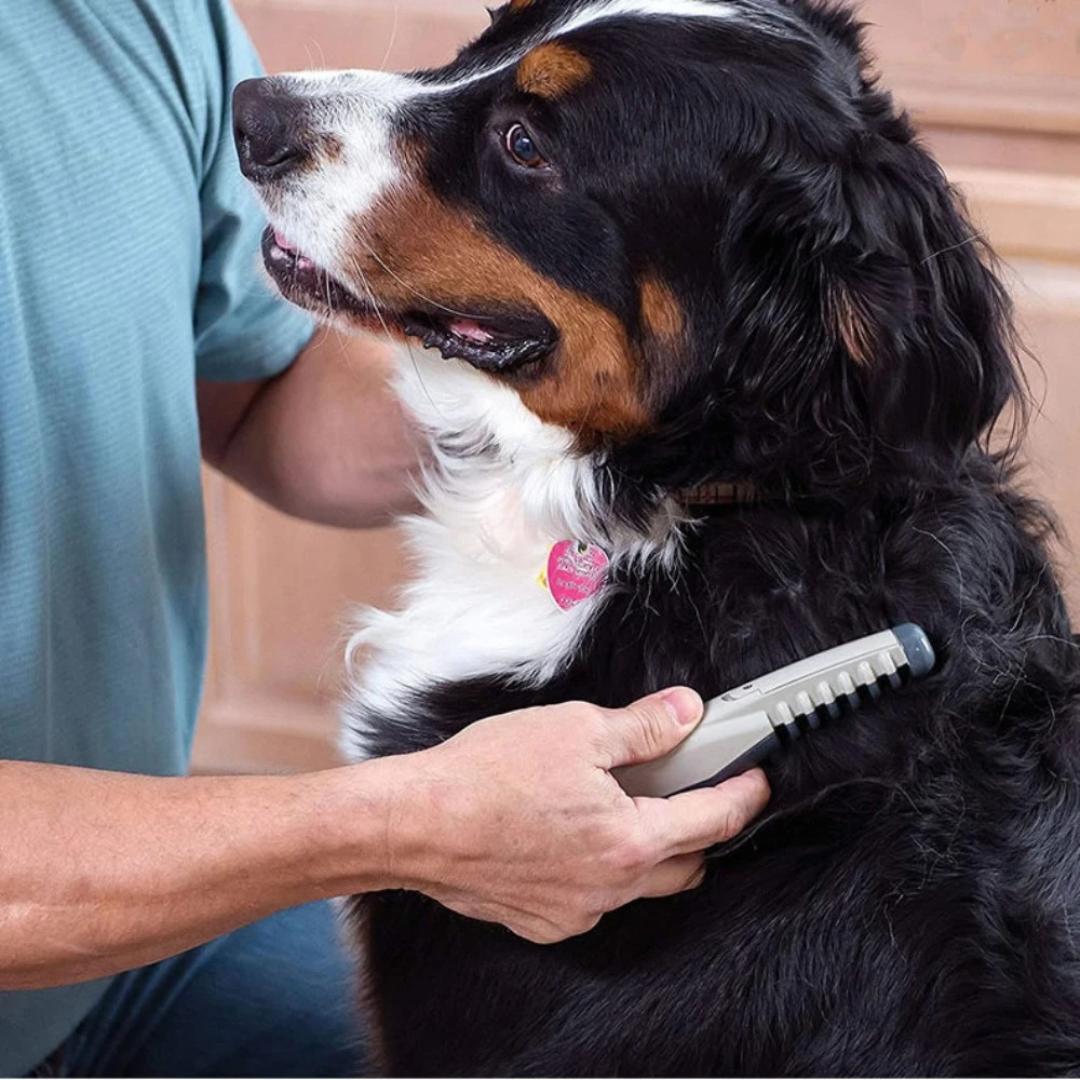 Electric Pet Grooming Comb Detangling Dematting Tool for Dogs and Cats Battery Powered Knot Remover