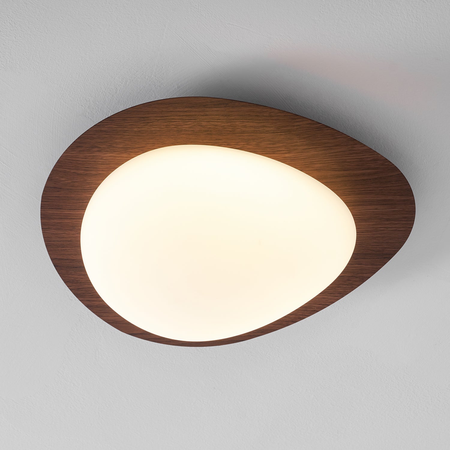 Modern Round Flush Mount Ceiling Light with Metal Rim