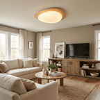 Modern Round Flush Mount Ceiling Light with Metal Rim