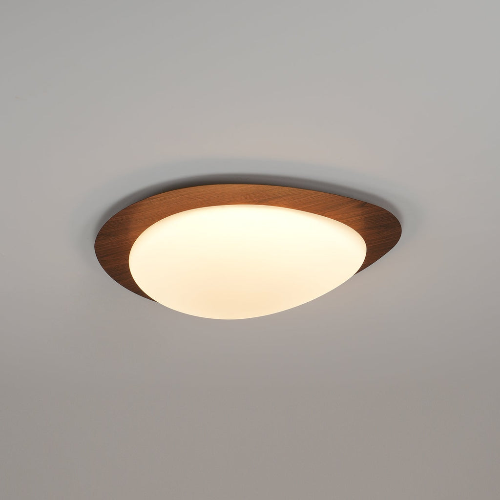 Modern Round Flush Mount Ceiling Light with Metal Rim