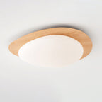Modern Round Flush Mount Ceiling Light with Metal Rim